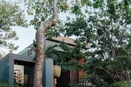 Luxury Jungle Villa · 2 Pools & Jacuzzi - Image 3